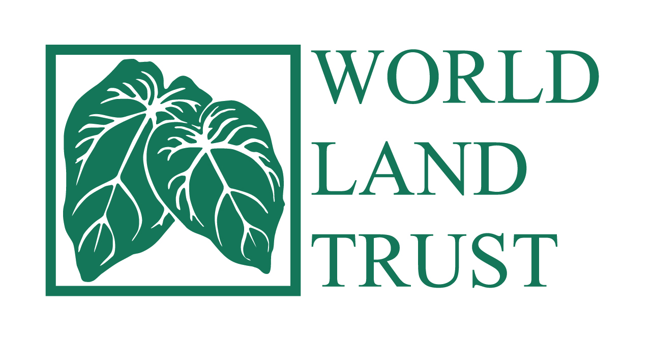 WLT_Logo_punched